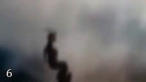 10 ДРАКОНОВ, КОТОРЫХ УДАЛОСЬ СНЯТЬ НА КАМЕРУ