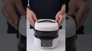 Автомобильная мультиварка