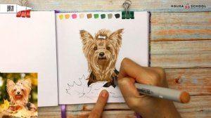 Как нарисовать йоркширского терьера? / Видео-урок по рисованию маркерами #132