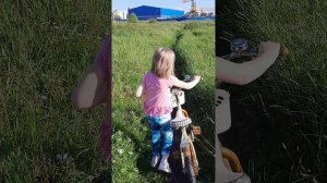 8 часов челлендж (приключения)