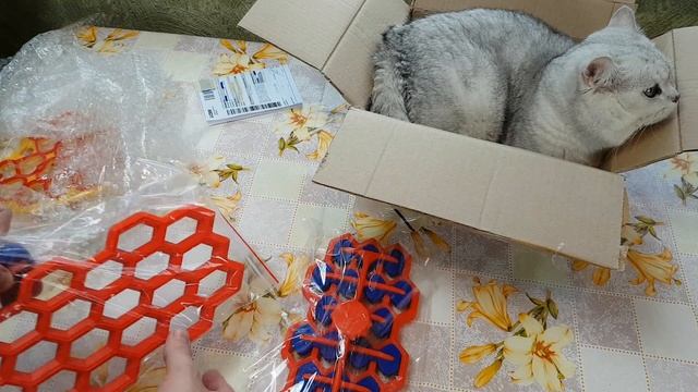 Распаковка посылки пельменница кристалл