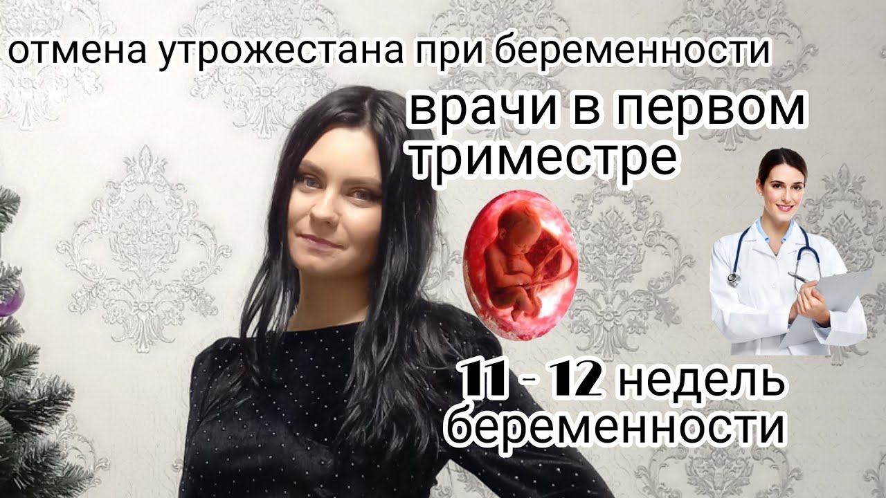 ДНЕВНИК БЕРЕМЕННОСТИ 11 - 12 НЕДЕЛЬ 🤰🏻отмена поддержки после эко 🌿 Врачи в первом триместре