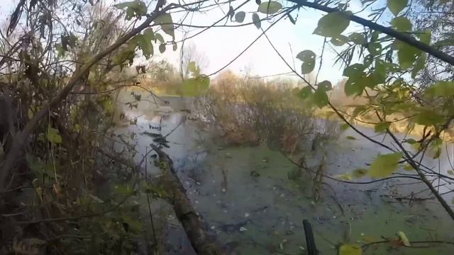 Охота на болотах смотреть онлайн