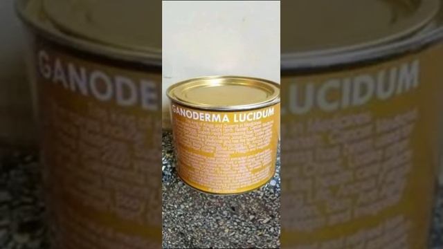 THE KING OF ALL NATURAL MEDICINES SHANTAI GANODERMA LUCIDUM смотреть онлайн