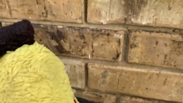 Angry Birds Rio Darkness Endures #17 “Jewel’s origins” смотреть онлайн