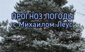 Секреты погоды столичных выходных (25-27 ноября)