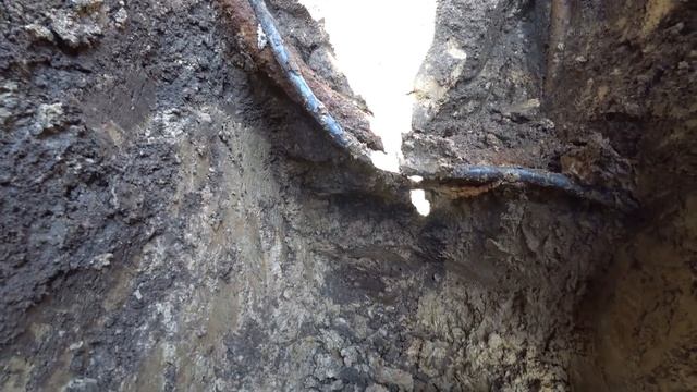 Гости работают не покладая рук. Сажаем вишню, разбираем новый дом. смотреть онлайн