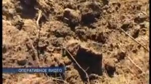 В Печенгском районе Мурманской области вновь обнаружили замаскированный схрон