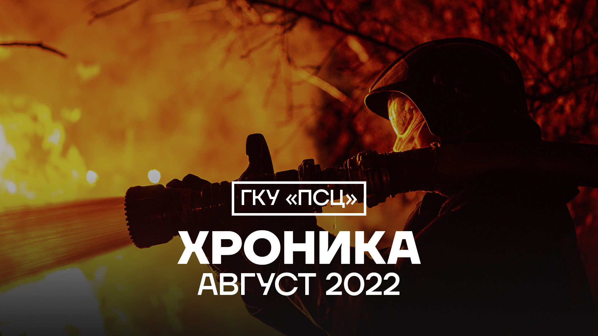 Хроника ГКУ «ПСЦ»|Август 2022