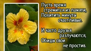 Года пролетают мгновеньями... (+)