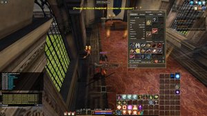R2 online последняя заточка с офа крылья+13/дем+10/ду+11   옷의 온라인 스레딩  r2在线穿线的衣服