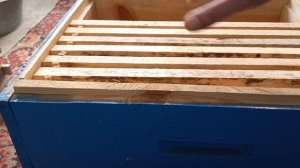 Мой опыт пчеловождения в ульях типа лежак.