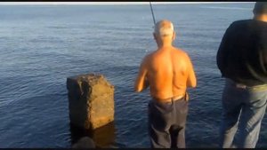 Сарган на Черном море