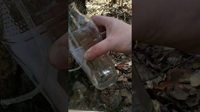 БЕРЕЗОВЫЙ СОК! СКОЛЬКО НАБРАЛИ? НАРВАЛИ ВЕРБЫ. БЫЛИ В ЛЕСУ! смотреть онлайн