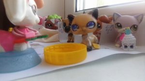 лпс сериал самолёт для пароЧЕЕК!!!😂✌️