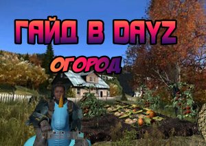 Гайд в DayZ. Огород