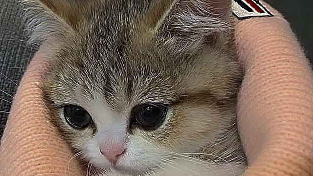 песня а мне кажется что у меня кружится голова 😵♥️ смотреть онлайн