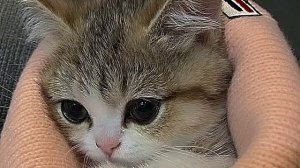 песня а мне кажется что у меня кружится голова 😵♥️