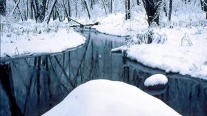 Седовласая Фея Зима