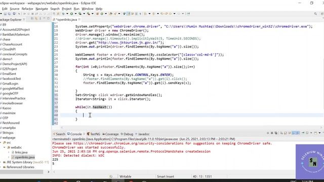 How to get Title of all opened tabs in Selenium | SN