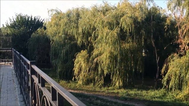 Таганрог: набережная, пляжи Приазовье и Тополь