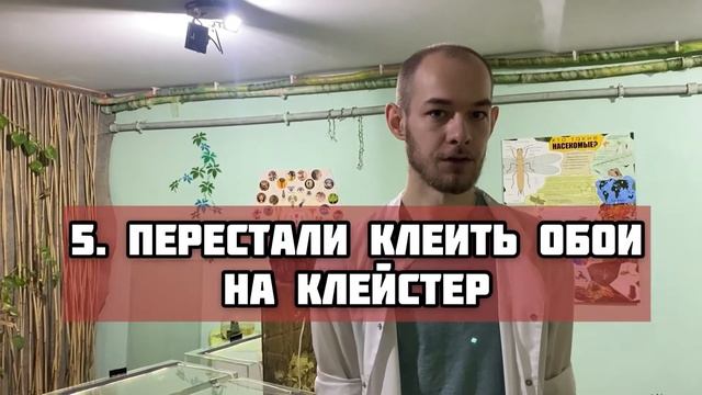 Ученый энтомолог назвал 6 главных причин сокращения численности тараканов, обитавших в наших домах.