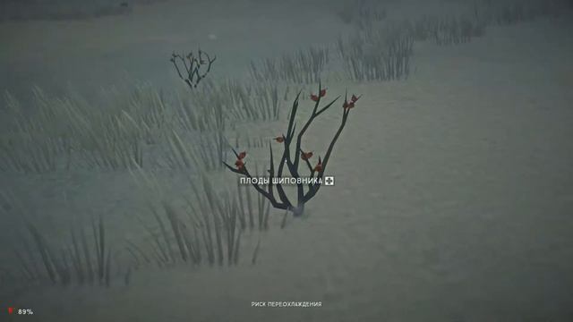 The Long Dark #1 - Первый блин смотреть онлайн