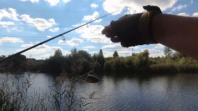 Рыбалка на ПОПЛА ПОППЕР. ЦВЕТ это ВАЖНО  Ч.2 Ловля красноперки