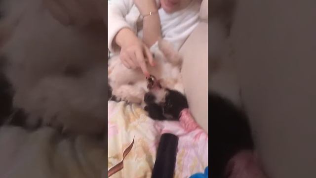 Опасные игры. смотреть онлайн