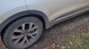 Нордман 7 спустя сезон! Такого не может быть!