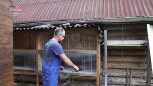 Уличные клетки (откорм) для кроликов. Часть 3. Последняя.