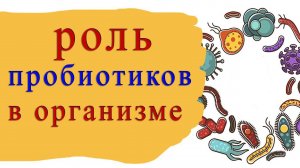 ПРОБИОТИКИ, пояснения от вет.врача компании БИОТЕХАГРО. Тестируем СТИМУЛЯТОРЫ РОСТА на бройлерах