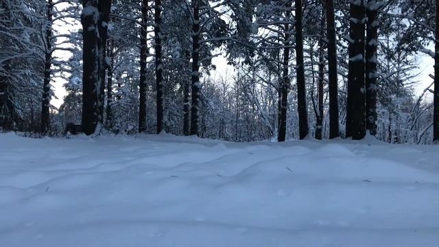 Митсубиши Паджеро 4 обзор внешнего вида (Mitsubishi Pajero 4 wagon diesel 3.2) смотреть онлайн