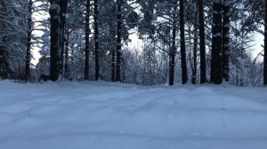 Митсубиши Паджеро 4 обзор внешнего вида (Mitsubishi Pajero 4 wagon diesel 3.2)