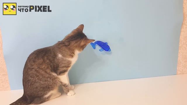 ШОК! НА КОШКУ НАПАЛ ЛИЗУН! 8 ЛИЗУНОВ ХВАТАЛОК-ЛИПУЧЕК!ЛЯГУШКА.МЕЛКИЕ ПАКОСТИ ЖВАЧКА ДЛЯ РУК  SLIME смотреть онлайн