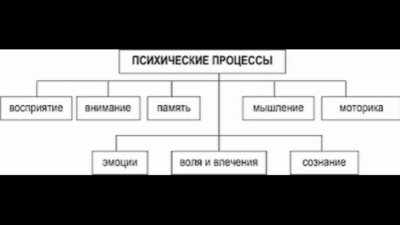 1. Система психических явлений. ГОСЫ по психологии. Общая психология