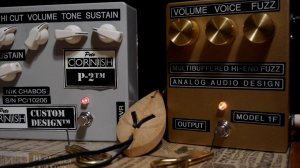 Pete Cornish P-2 vs Analog Design Audio Model 1F (w/ Fender Stratocaster '74)