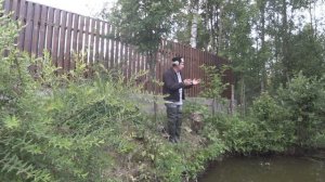 ОХОТА НА ВОДЯНУЮ КРЫСУ | ОСМОТР КАПКАНОВ