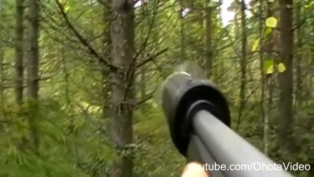 Лось бежит на меня. Охота на лося видео 2012-2013 Moose hunting in Russia. смотреть онлайн