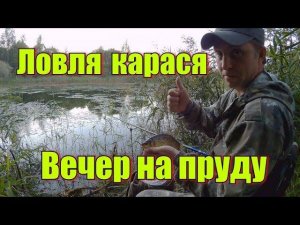Ловля карася. Вечер на пруду
