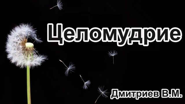 "Целомудрие"  Дмитриев В.М. Проповедь МСЦ ЕХБ