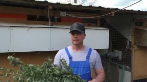 ПОЧЕМУ КРОЛИКИ НЕ РАСТУТ КОРМЛЕНИЕ КРОЛИКОВ ЛИЧНЫЙ ОПЫТ чем лучше кормить кроликов
