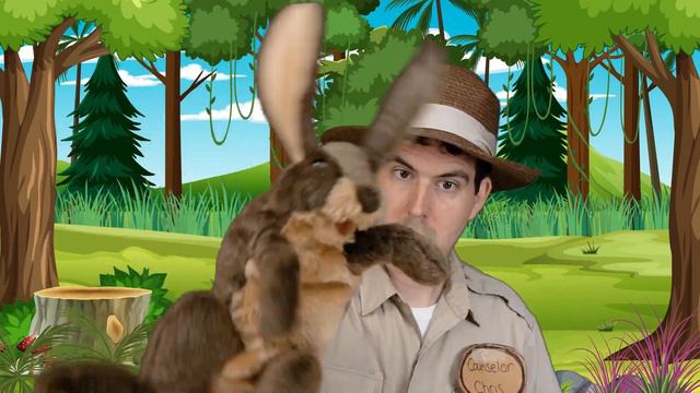 Kid Puppet Videos - Identifying Emotions | Social-Emotional Learning Videos for Kids | A LITTLE SEL смотреть онлайн