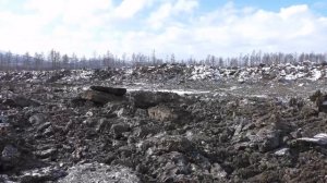 CAT D8R Бульдозер в поисках ЗОЛОТА. Якутия