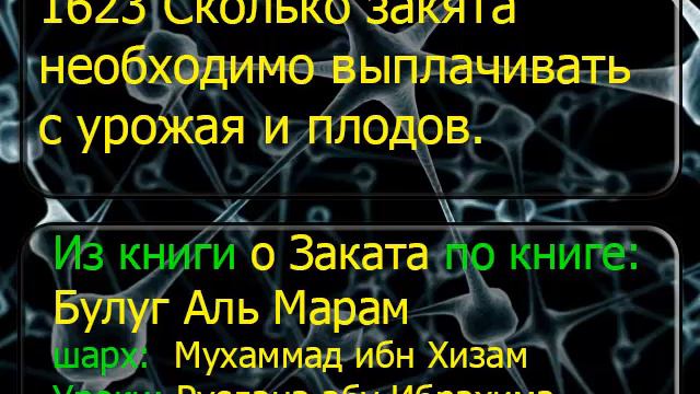 1623 Сколько закята необходимо выплачивать с урожая и плодов смотреть онлайн