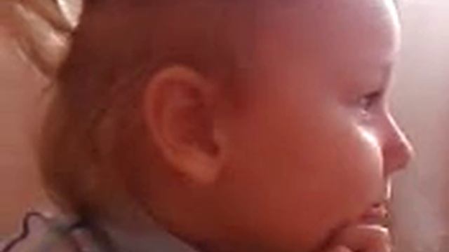 Шиншилла поет девочка смотреть онлайн