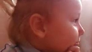 Шиншилла поет девочка