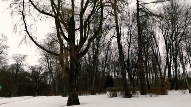 Экскурсия по местам писателя И. С.ТУРГЕНЕВА. Часть 1. Дом музей писателя смотреть онлайн