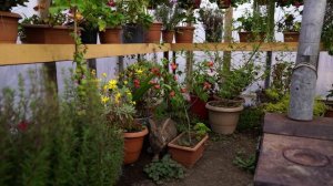 Cooking Lunch for Gardeners, Outdoor Cooking