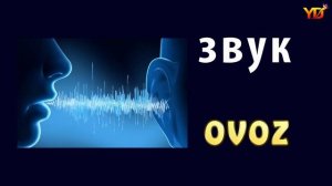 1000 Русский узбекский словарь 6 урок